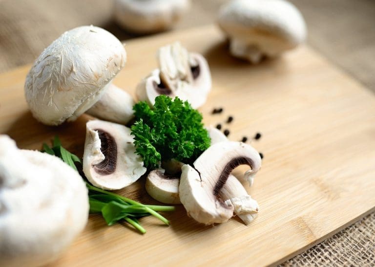 The Ultimate Guide to Operating a Successful Meal Delivery Business