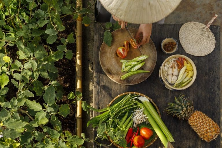Automate Your Meal Prep for a Healthier Lifestyle
